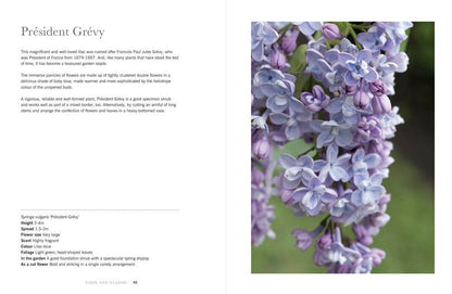 Lilacs: Beautiful Varieties for Home & Garden  Gibbs Smith