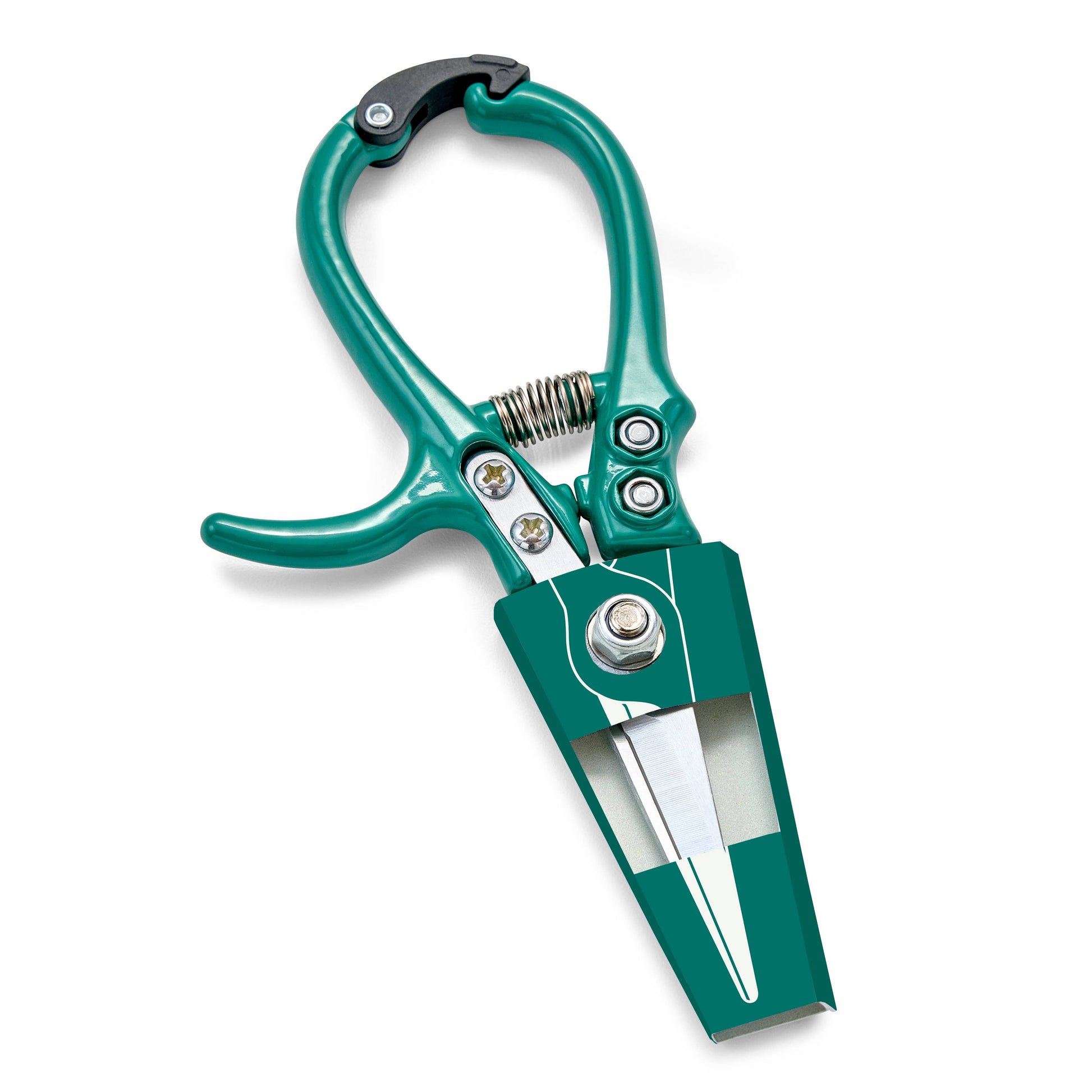 Garden Shears Kitchen Tools Modern Sprout