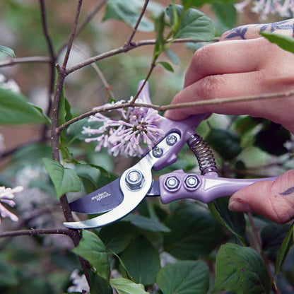 Garden Pruners: Ocean Modern Sprout