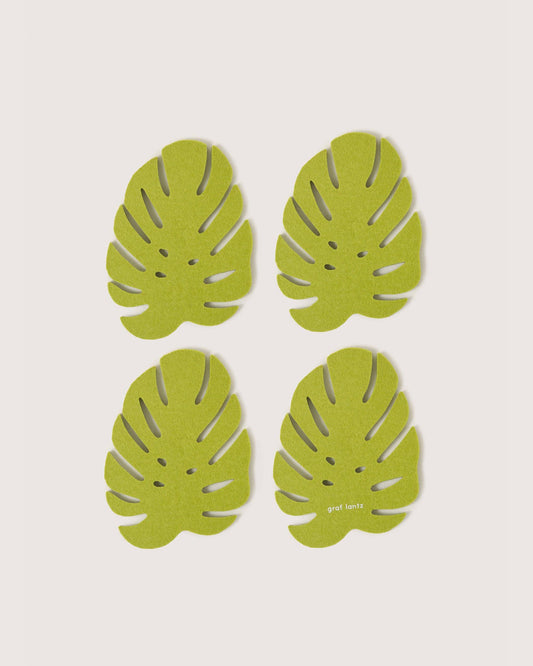 Merino Wool Monstera Coaster Solid 4 Pack - Pistachio Coasters Graf Lantz