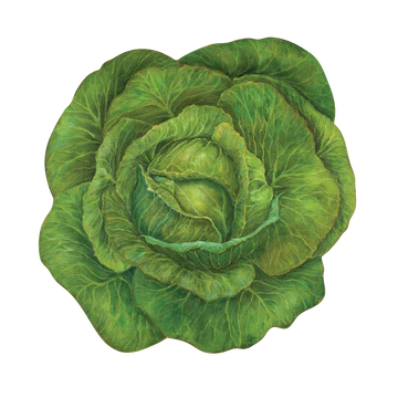 Die Cut Cabbage Placemat - 12 Sheets Placemats Hester and Cook