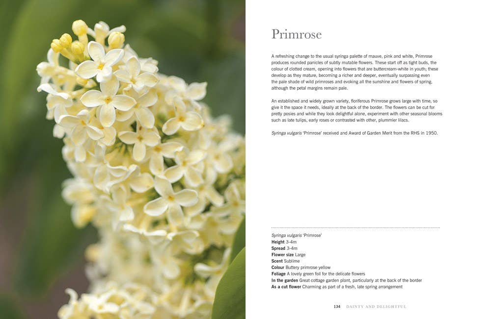 Lilacs: Beautiful Varieties for Home & Garden  Gibbs Smith