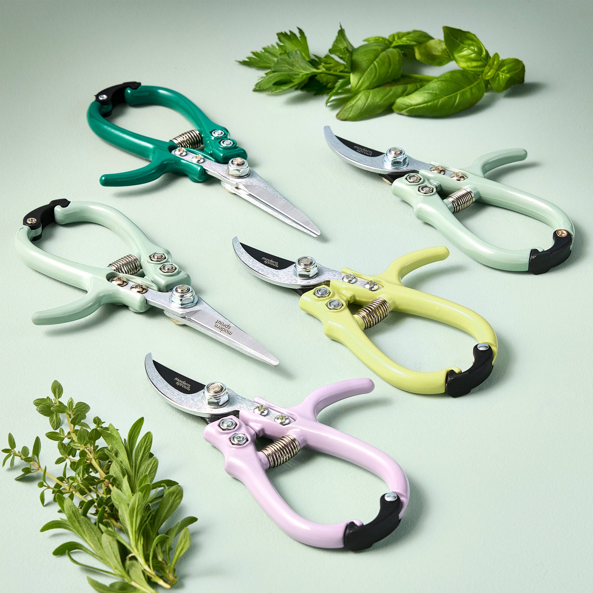 Garden Shears Kitchen Tools Modern Sprout